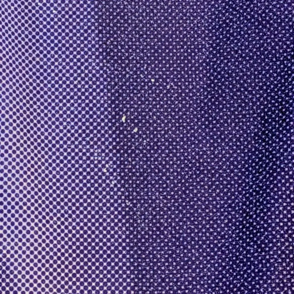 Reebok Women's Speedwick Small Purple  and White High Rise Leggings Flaw
